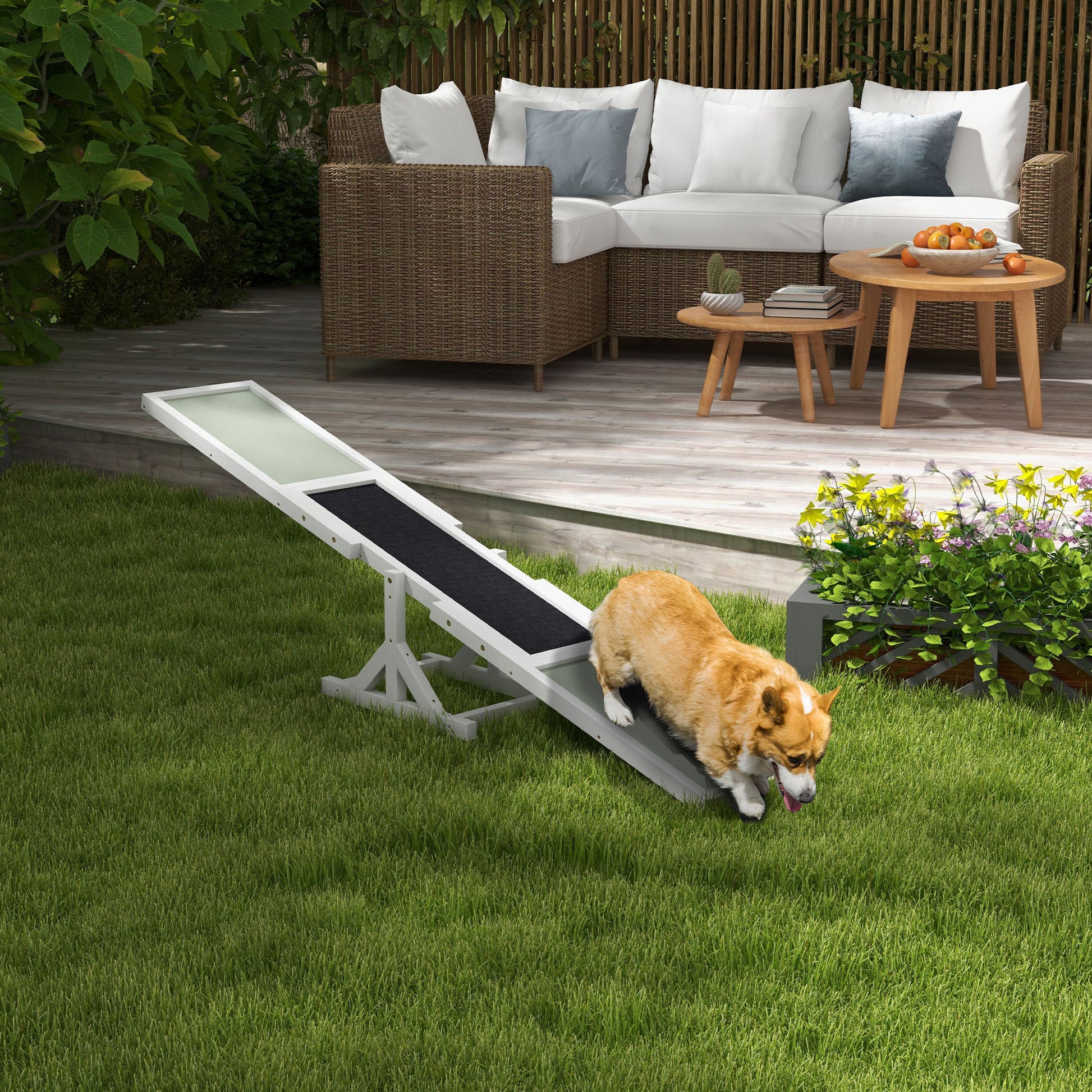 Pet Seesaw: Wooden Dog Training Equipment for Active Play
