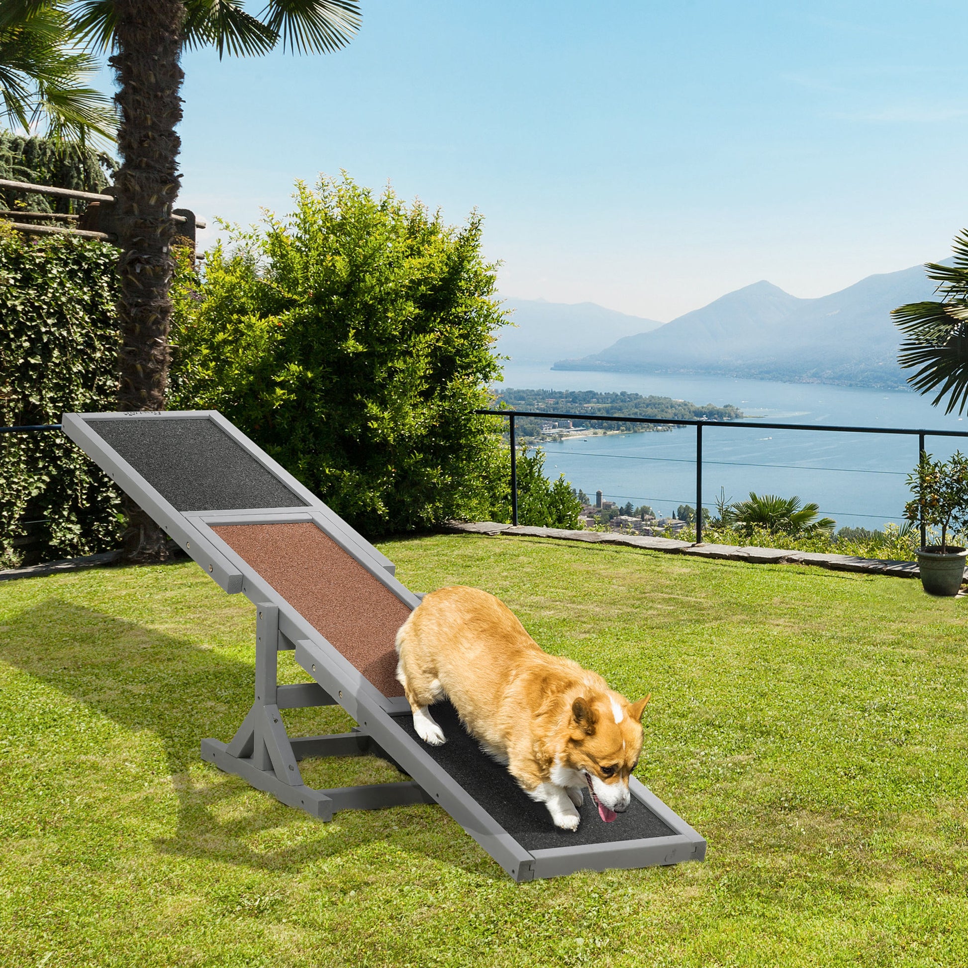 Pet Seesaw: Wooden Dog Training Equipment for Active Play