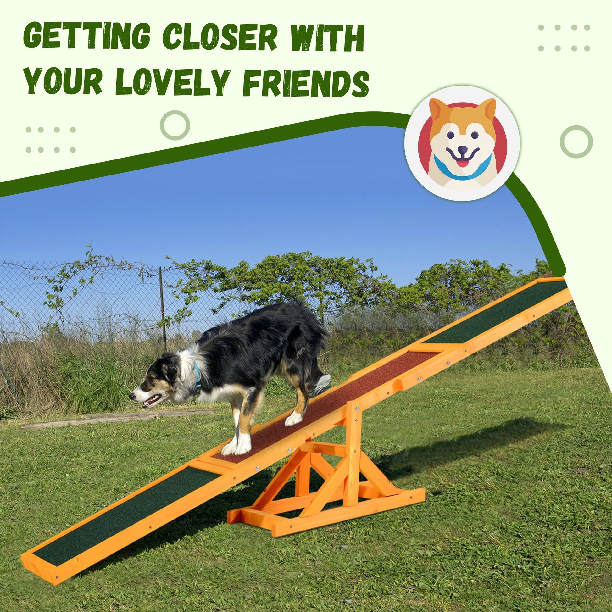 Pet Seesaw: Wooden Dog Training Equipment for Active Play