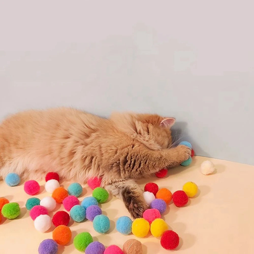 Interactive Cat Toy: Launch Training with Colorful Mini Pompoms