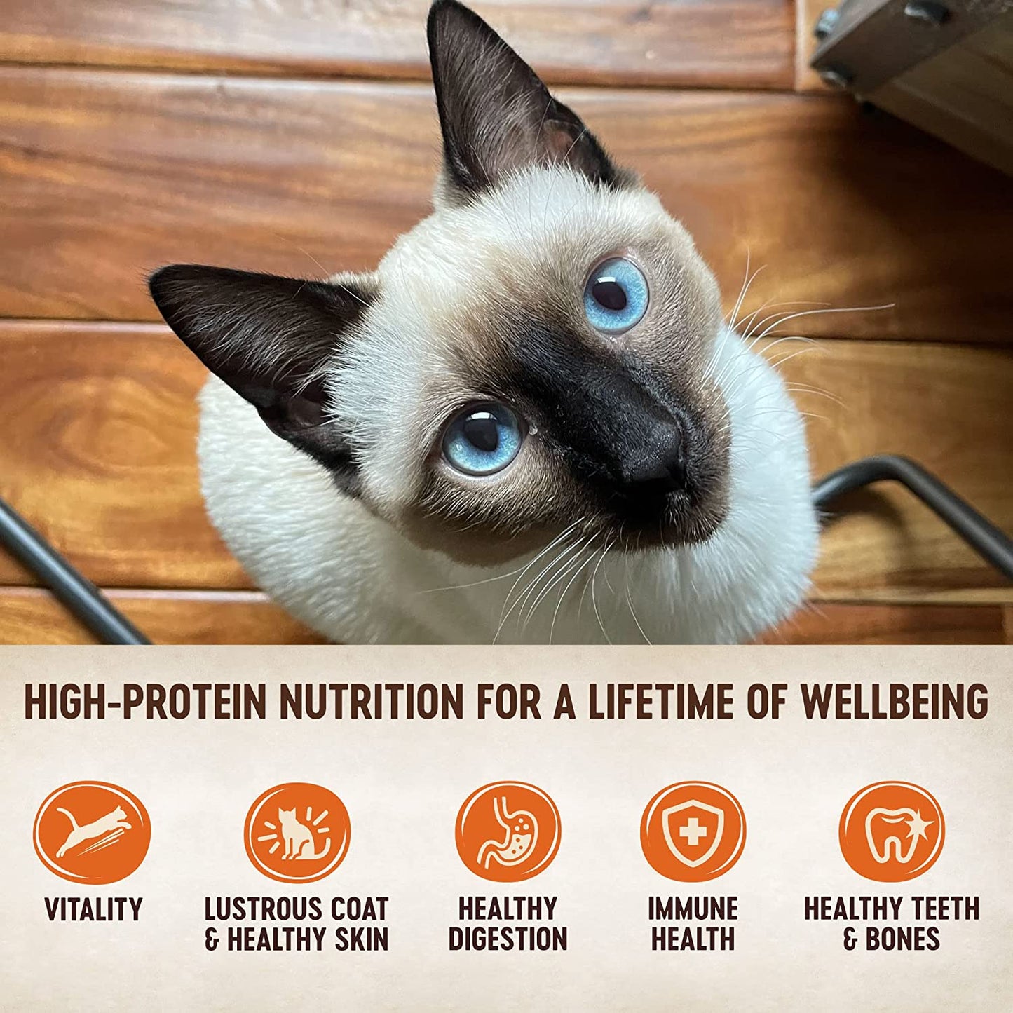 Signature Selects Wet Cat Food by CORE Wellness: Grain-Free (Shredded Chicken & Chicken Liver, 5.3 Ounces, Pack of 12)