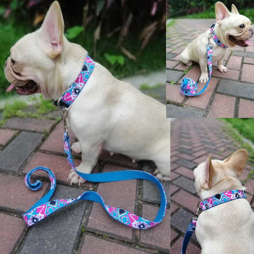Stylish Pet Collar: Fashionable, Comfortable, Durable