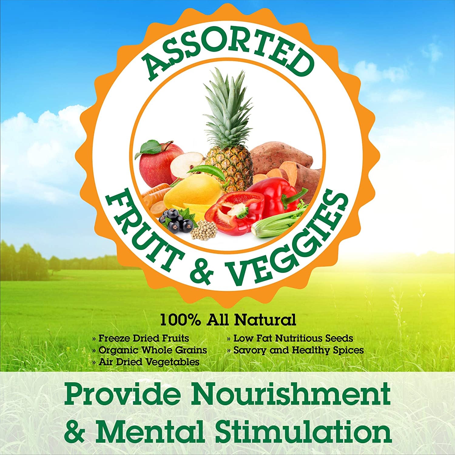 Parrot Food Sample 4 Pack: Parakeet, Cockatiel, Bird Food, Non-GMO Fruits, Healthy Spices