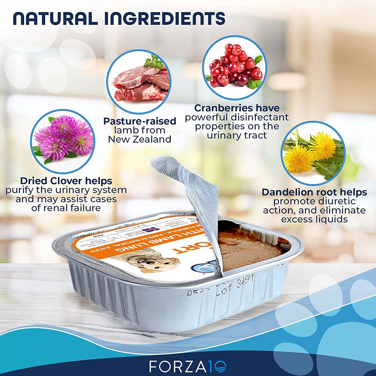 Kidney RENAL ACTIWET Wet Dog Food: Lamb flavor, renal support.