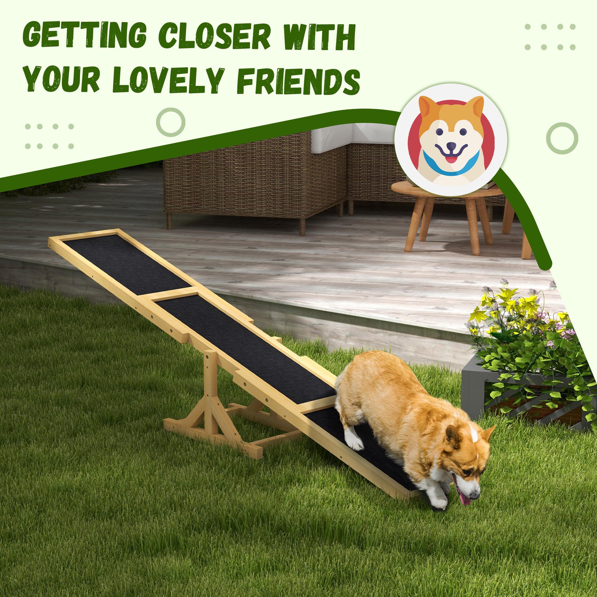 Pet Seesaw: Wooden Dog Training Equipment for Active Play