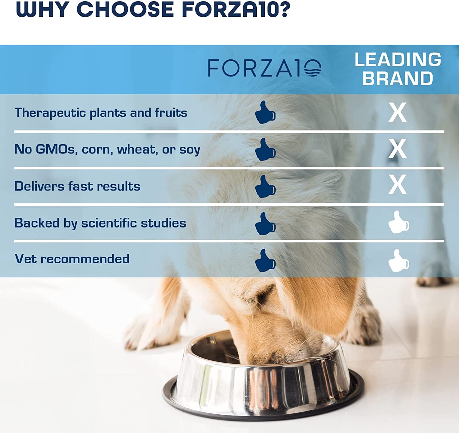 Kidney RENAL ACTIWET Wet Dog Food: Lamb flavor, renal support.
