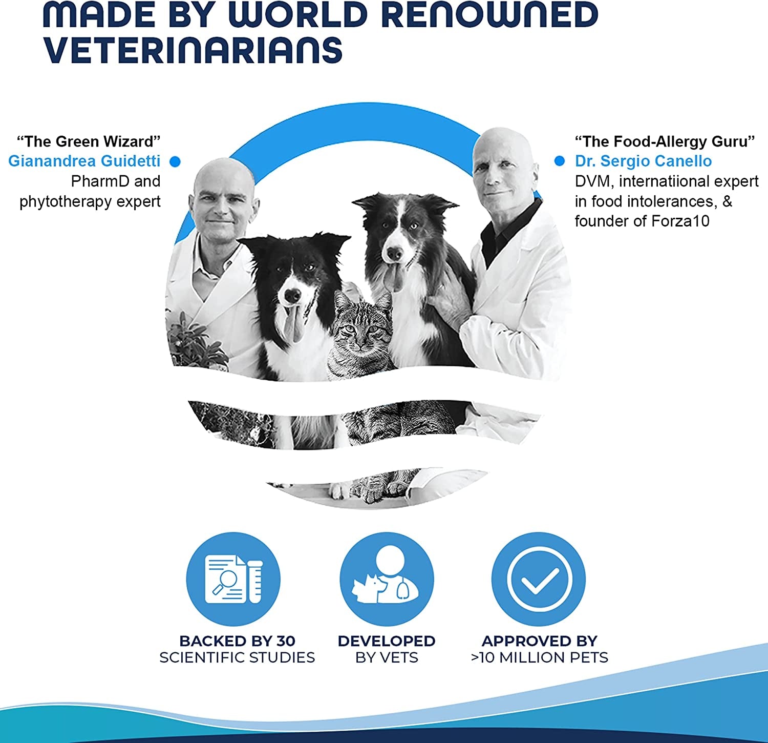 Kidney RENAL ACTIWET Wet Dog Food: Lamb flavor, renal support.