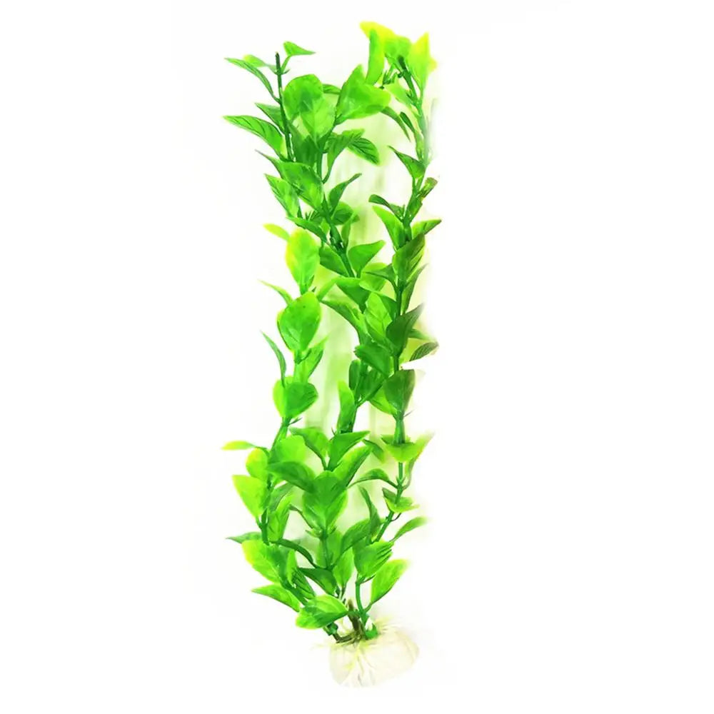 Underwater Plants: Add Vibrancy to Your Aquarium Decor!