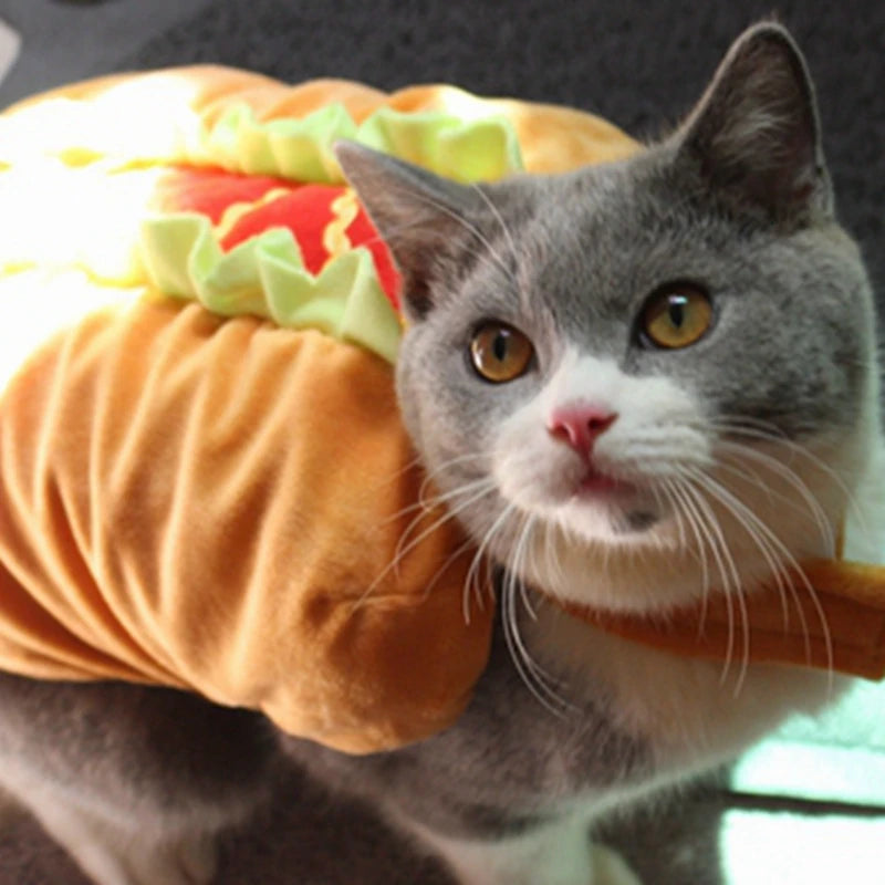 Hamburger Pet Costume: Halloween transformation costume for pets.