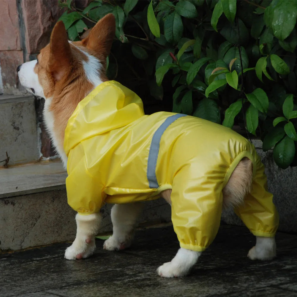 Waterproof Dog Raincoat: Fashionable, reflective, protects from rain.