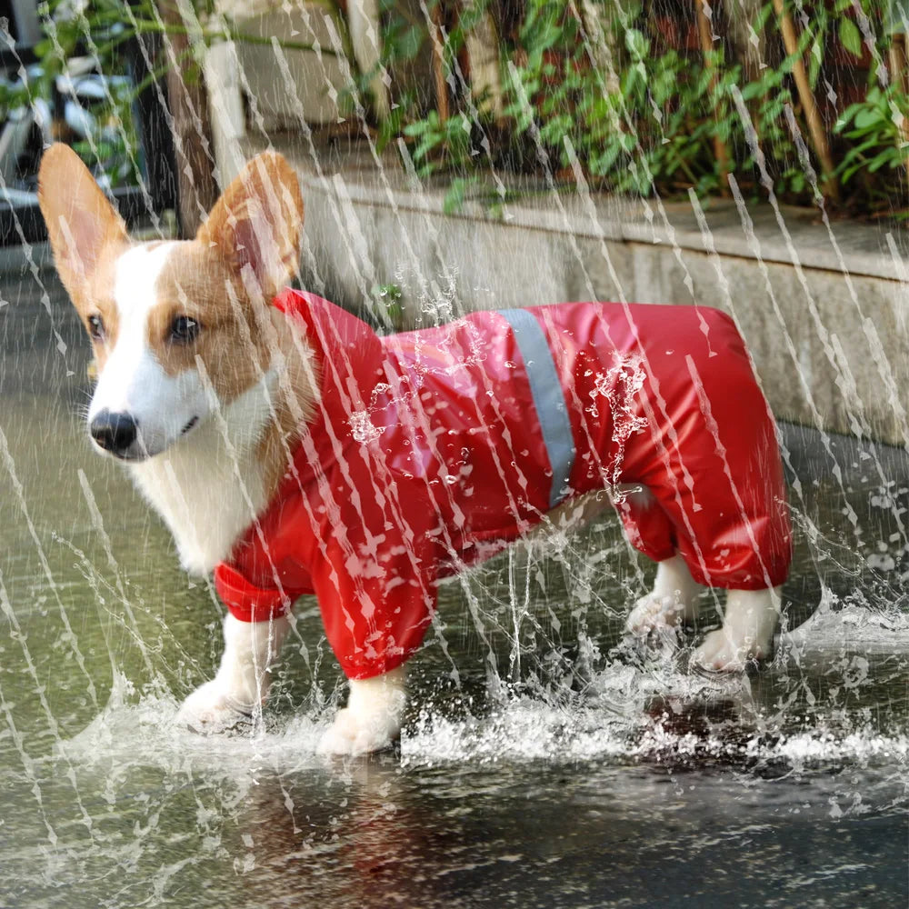 Waterproof Dog Raincoat: Fashionable, reflective, protects from rain.