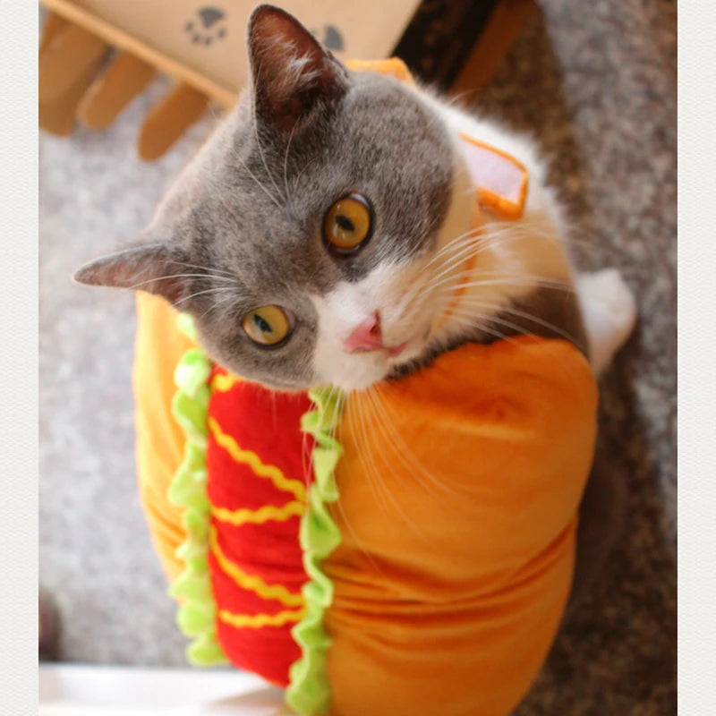 Hamburger Pet Costume: Halloween transformation costume for pets.
