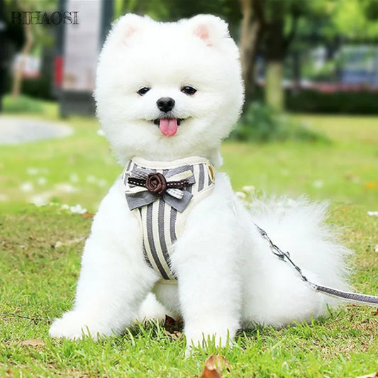 Mesh Traction Rope: Comfortable Vest Design for Pet Walking