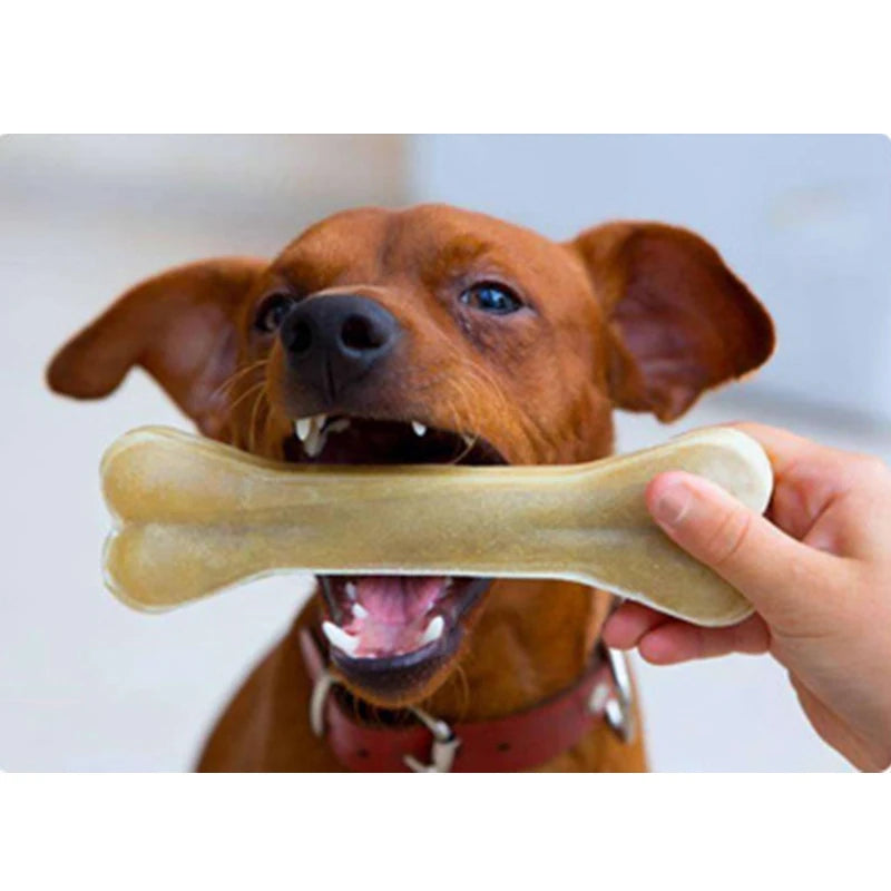 Dog Bones Chews Toys: Leather Cowhide, Molar Teeth Clean Stick