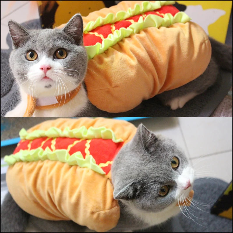 Hamburger Pet Costume: Halloween transformation costume for pets.