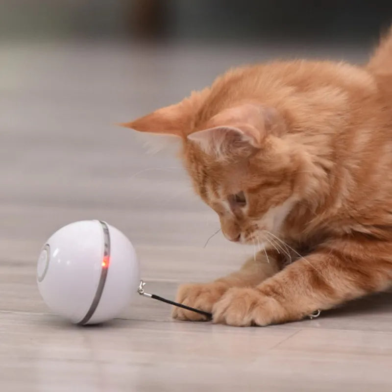 Smart Interactive Ball: Rotating Tumbler, Electric Cat Toys with Feathers