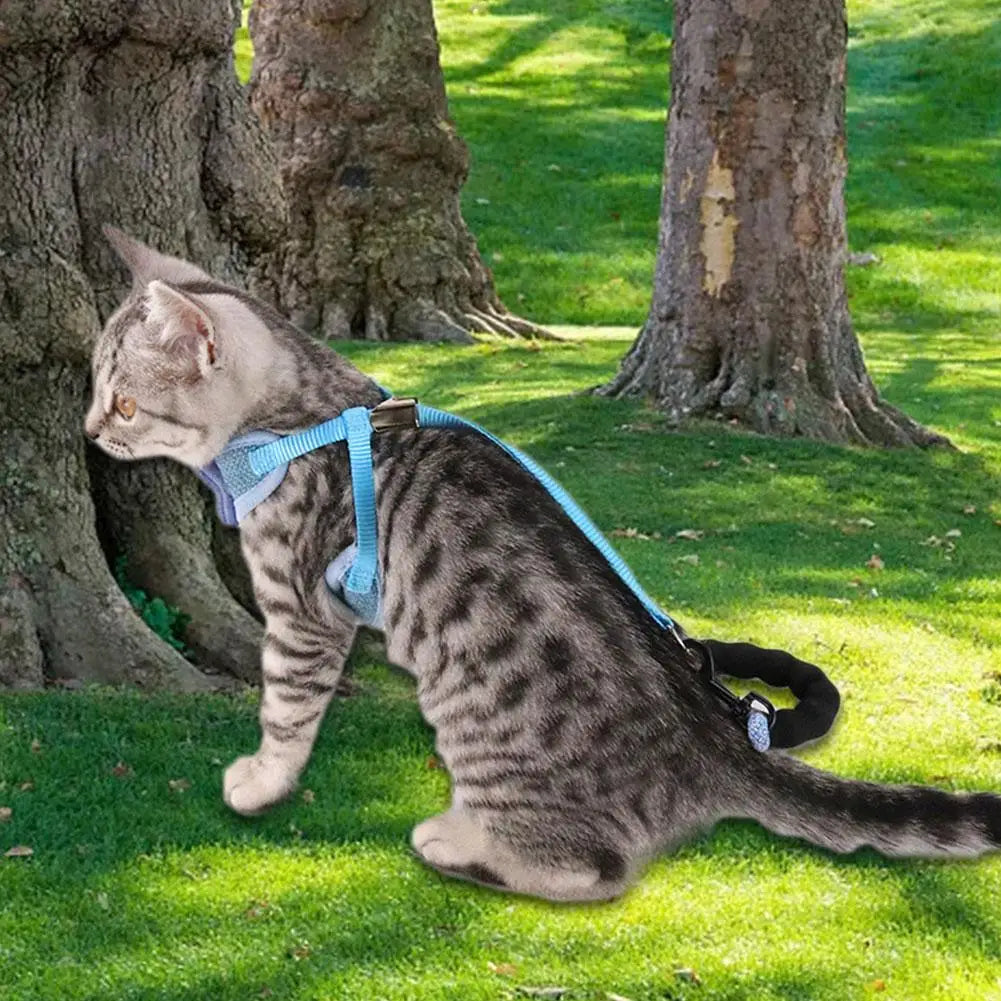 Pet Vest Harness 