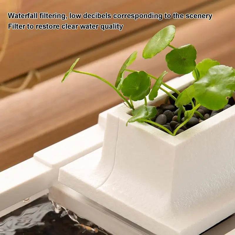 Low voltage desk aquarium: Quiet, illuminated mini tank.