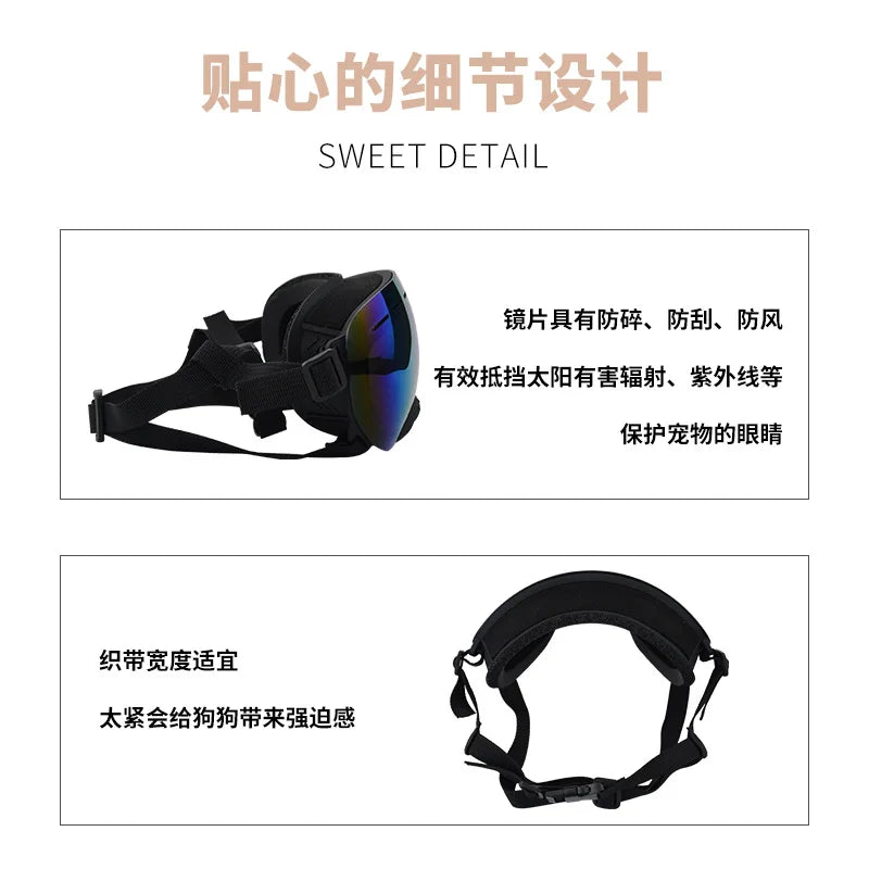 Pet goggles: Wind protection for adventurous dogs.