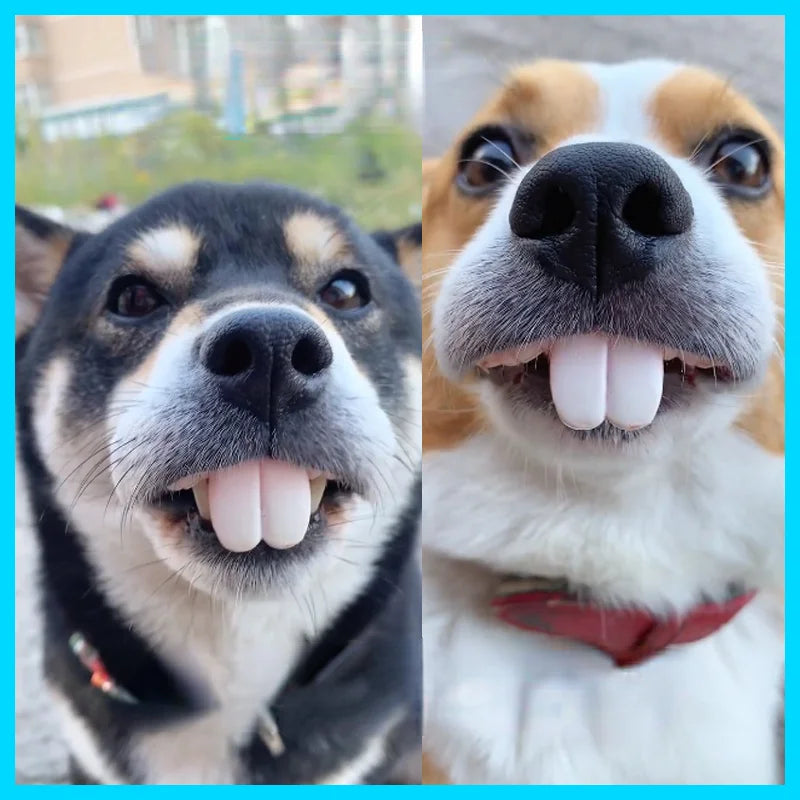 Funny Dog Dentures: Tricky decorating supplies, Halloween cosplay, for dogs.
