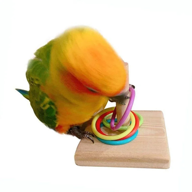 Educational Parrot Training Toy: Stimulate Your Bird's Mind!
