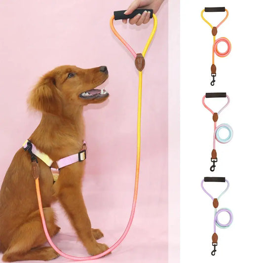 Rainbow Nylon Dog Leash: Durable, walking training, adjustable strap.