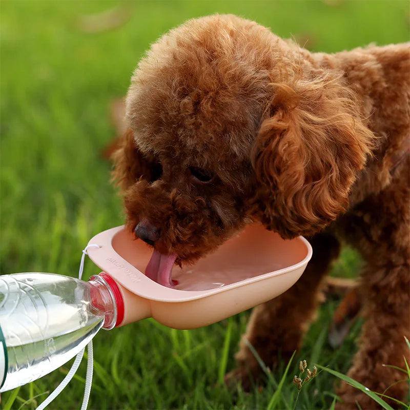 Portable Water Bottle: For outdoor use, convenient pet hydration.