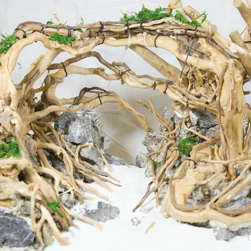 Natural Aquarium Ornament: Bring Nature into Your Fish Tank!