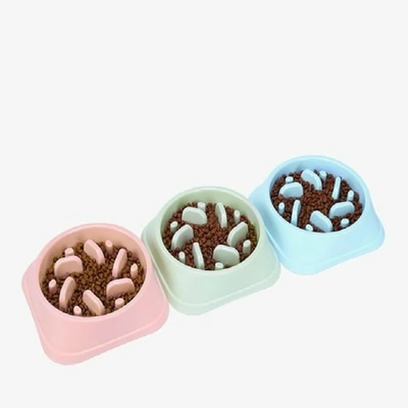 Pet Slow Feeder Bowl: Cat Dog Feeding Bowls, Down Feeders