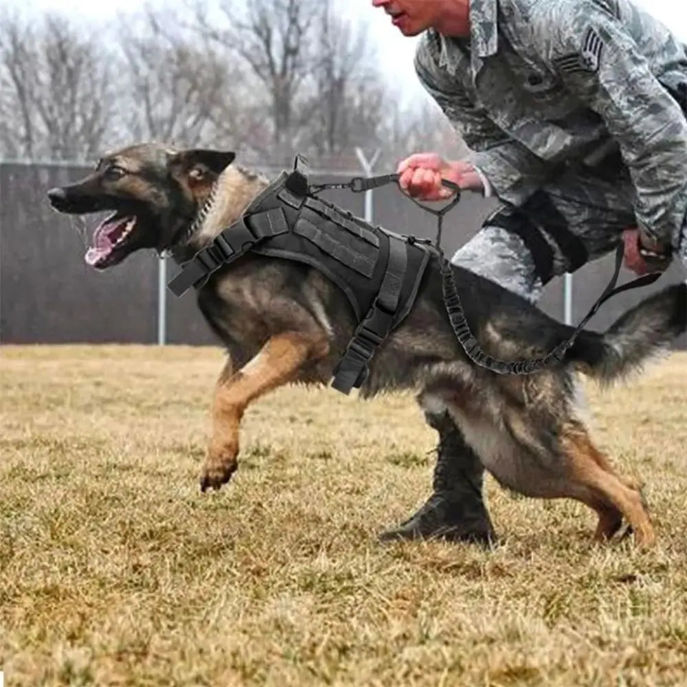 Tactical dog vest: Light harness for pets.
