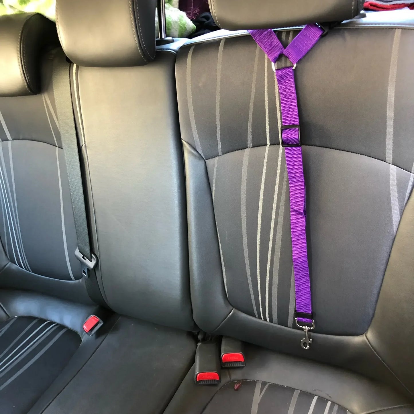 Two-in-one pet car seat belt: Adjustable, backseat safety for dogs.