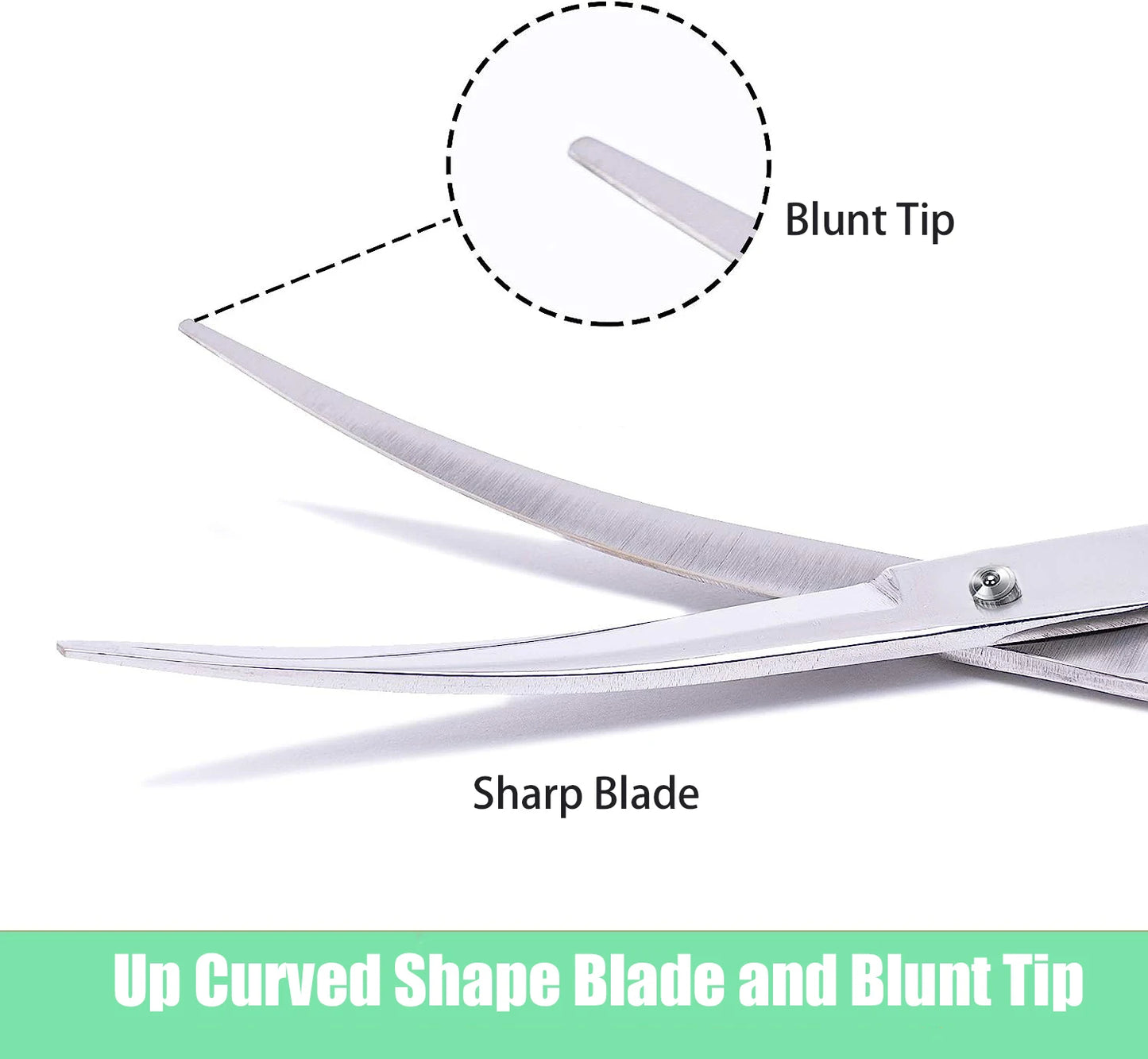 Stainless Steel Pet Hair Scissors: Trimming Shears for Dogs, Cats