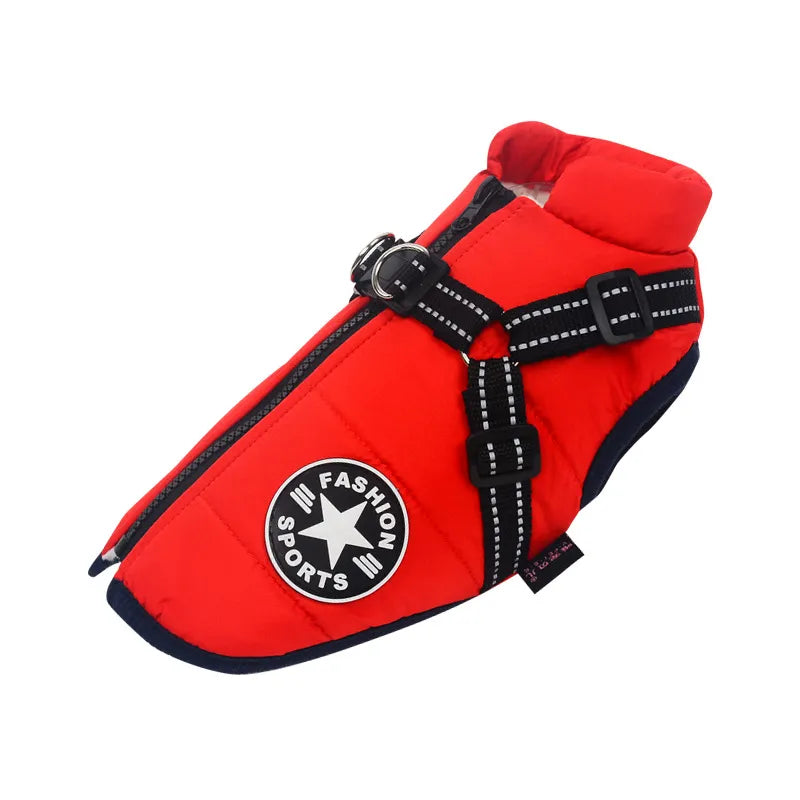 Big Dog Jacket