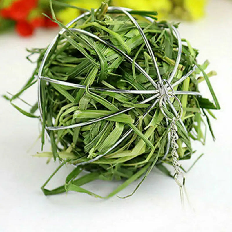 Stainless steel hay ball: Guinea pig, hamster, rabbit toy dispenser.