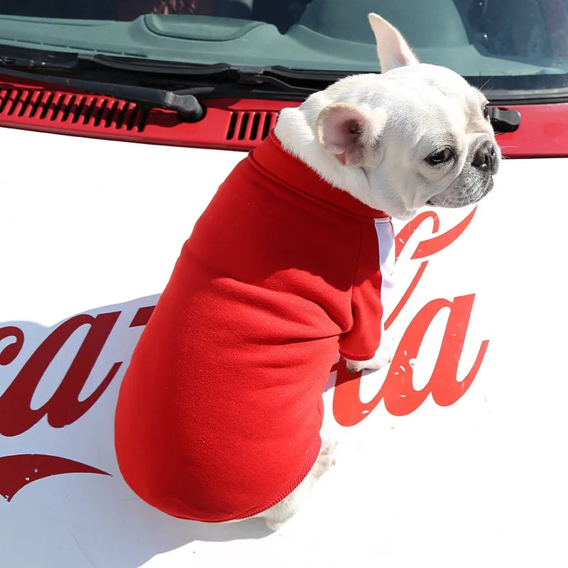 Winter Dog Jacket: Keep Your Dog Warm and Stylish!