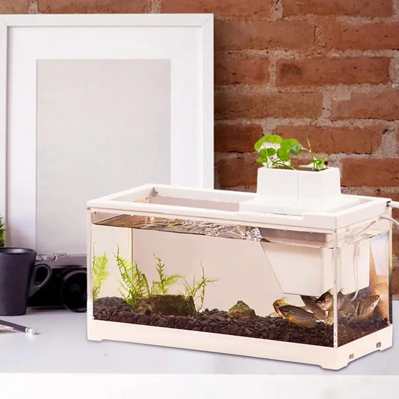 Low voltage desk aquarium: Quiet, illuminated mini tank.
