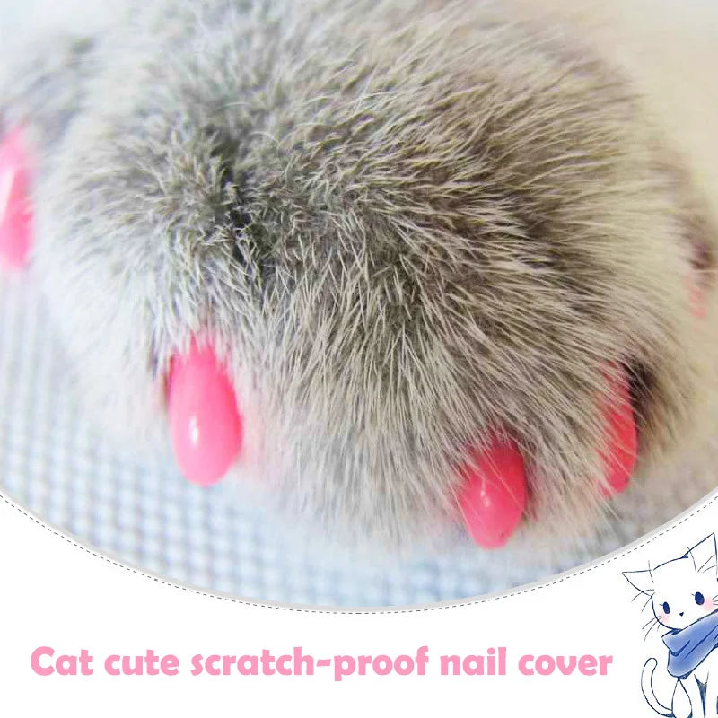 Nail Covers: Scratch Prevention for Cats and Dogs