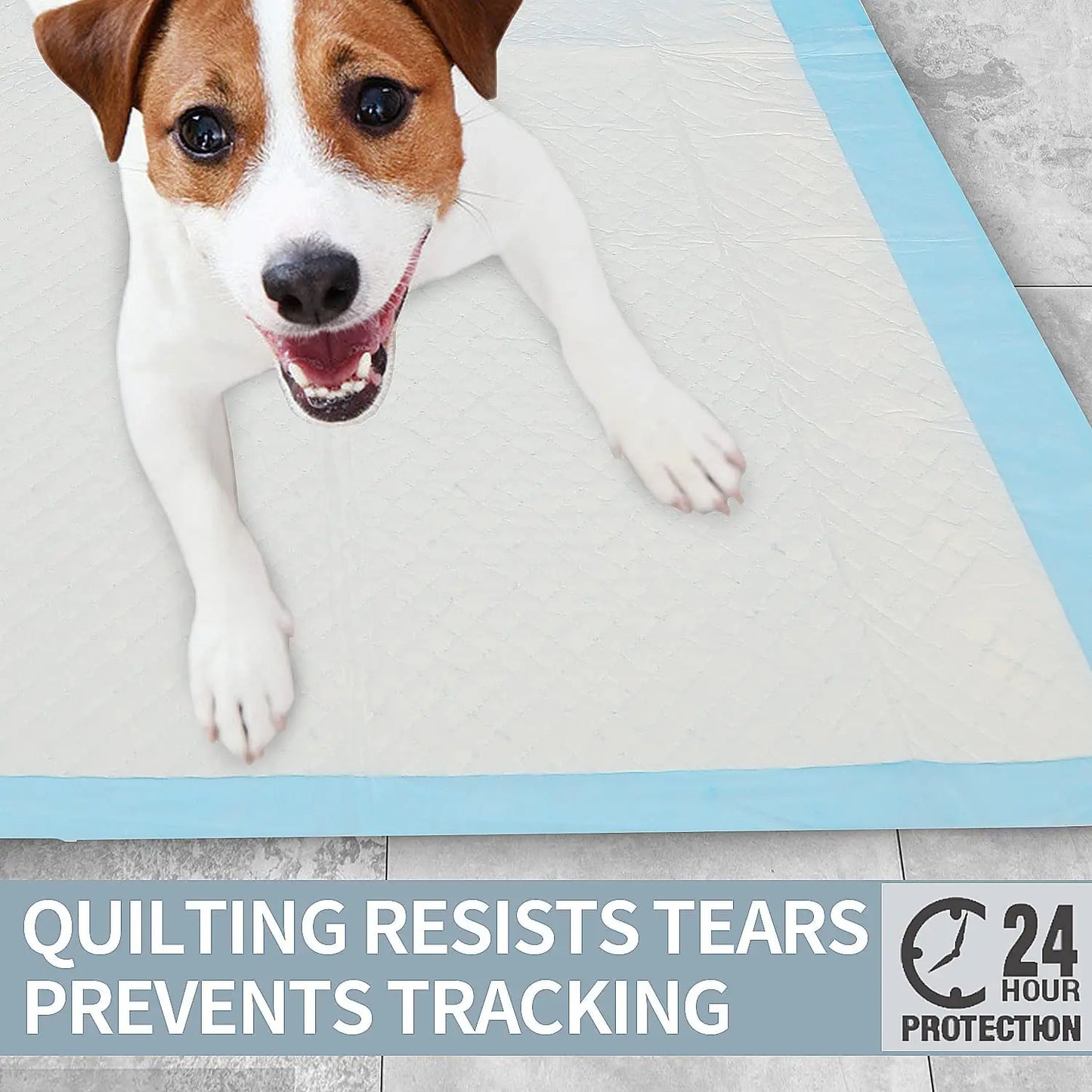 Super Absorbent Diapers: Keep Your Pet Clean and Dry!