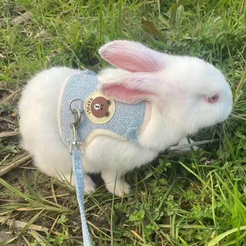 Newest Cute Rabbit Harness and Leash Set: Bunny Pet Accessories