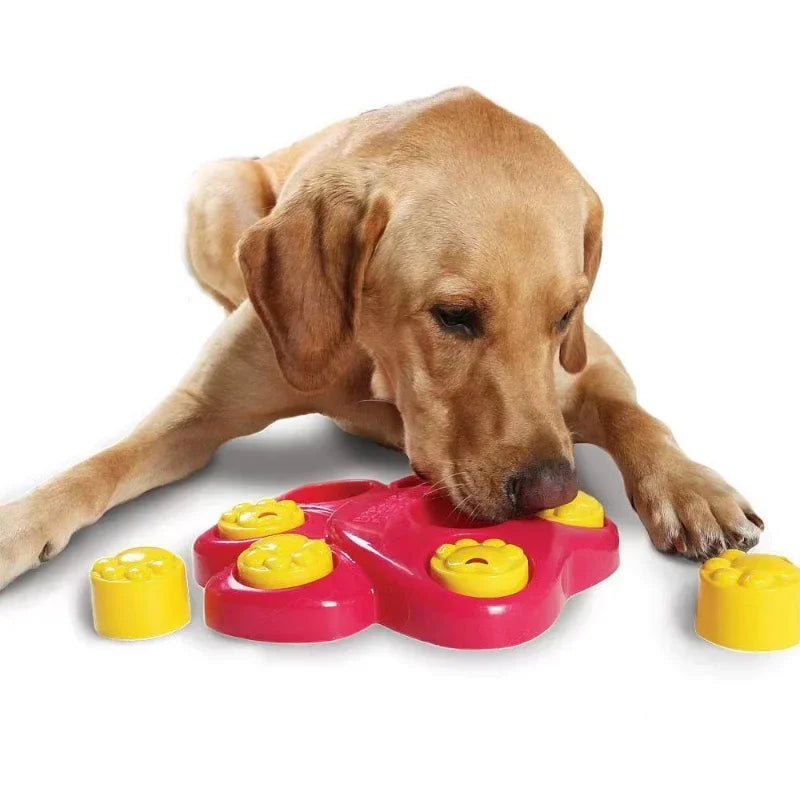 Pet puzzle feeder: Engaging toys for cats and dogs.