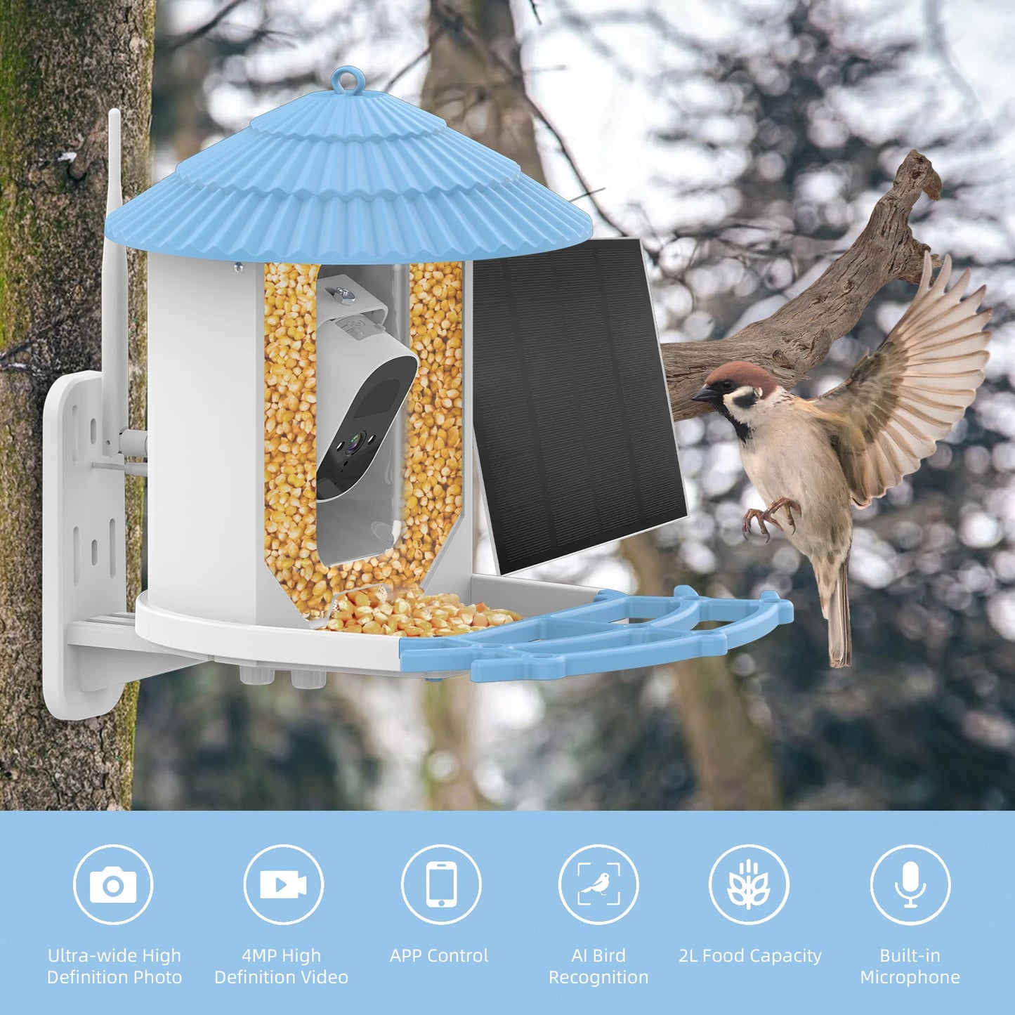 Wireless Outdoor Bird Feeder: Solar-powered, app-controlled camera feeder.