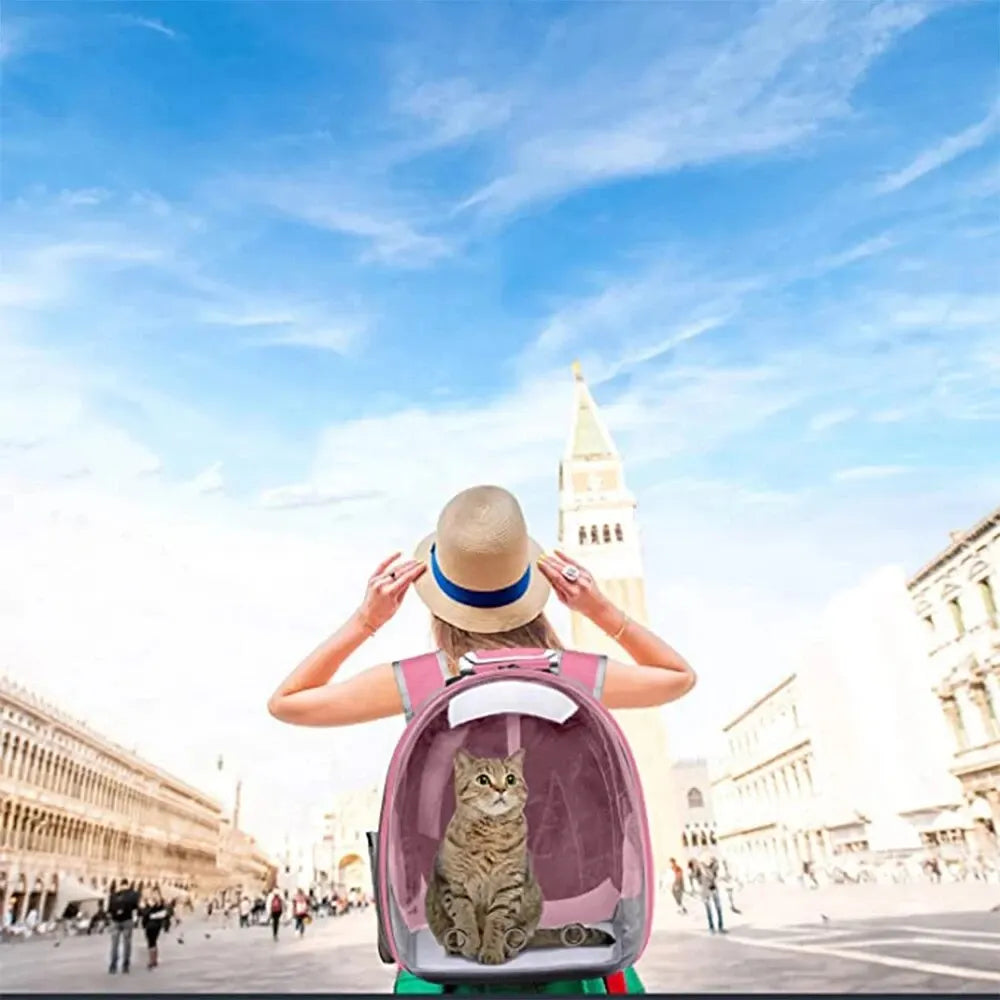 Transparent Pet Backpack: Travel in Style with Your Pet!