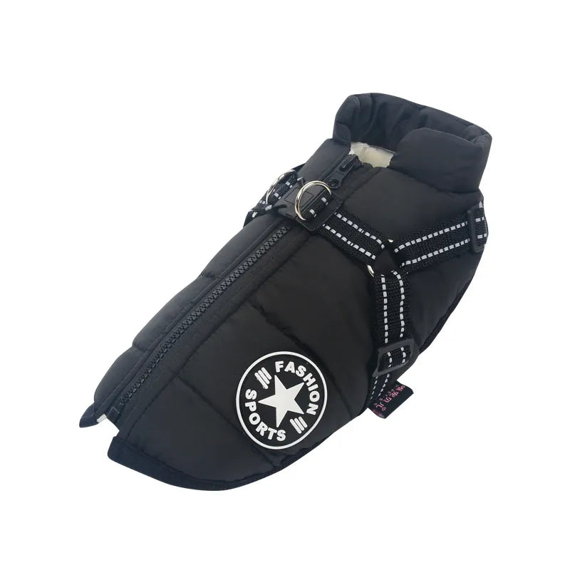 Big Dog Jacket