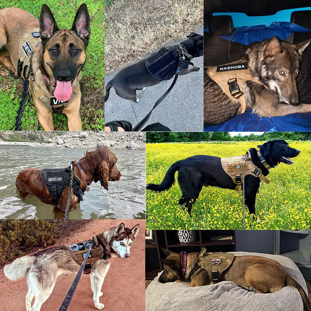 Dog Harness Leash Set: German Shepherd Training Vest, All Breeds.