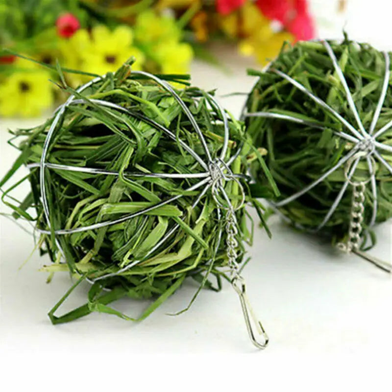 Stainless steel hay ball: Guinea pig, hamster, rabbit toy dispenser.