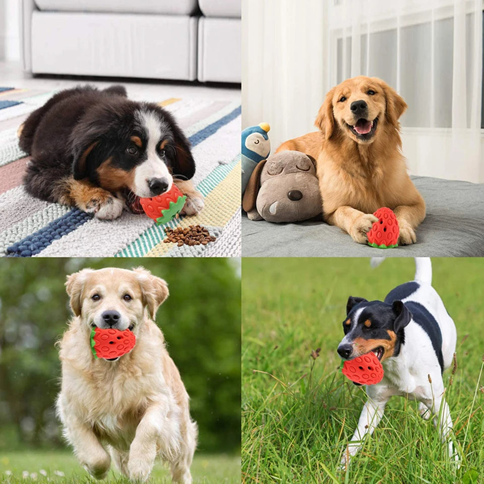 Feeder: Rubber puzzle ball for leaked food.