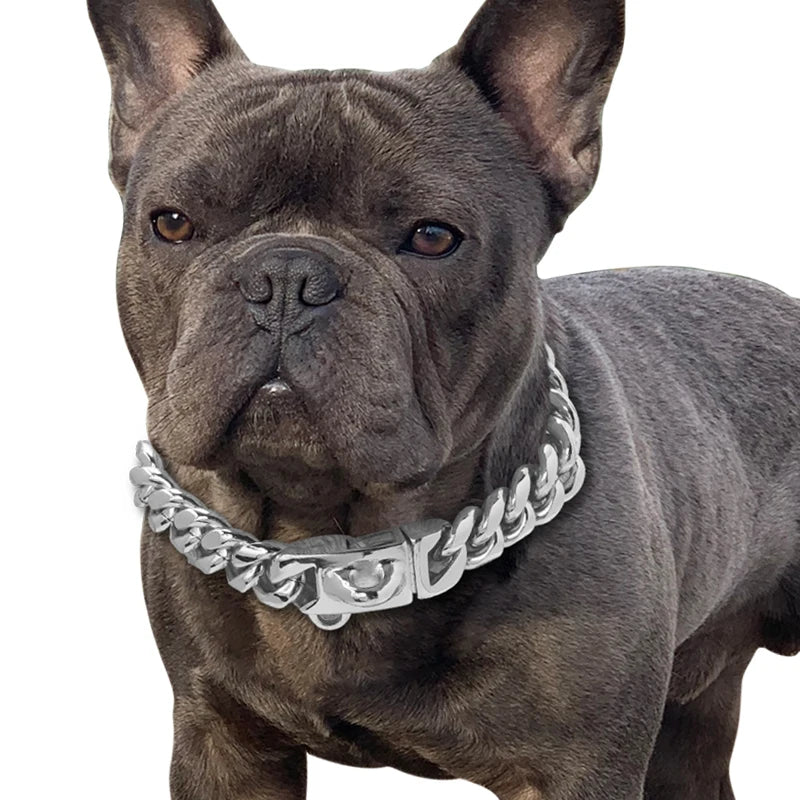 Gold Dog Collar: Add Glamour to Your Pet's Accessories!
