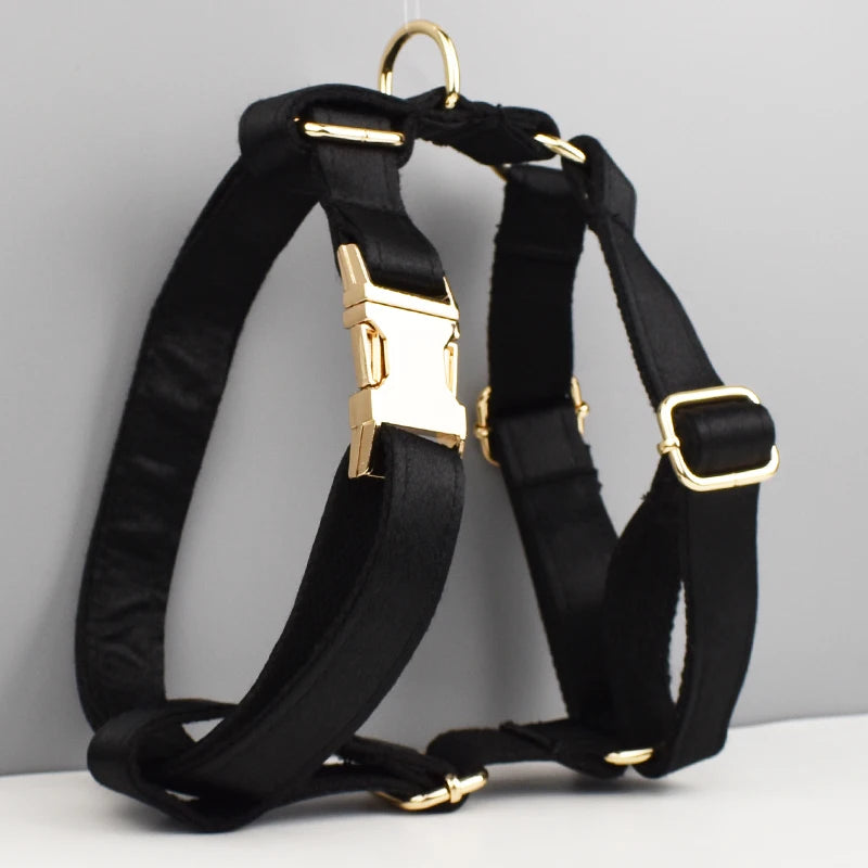 Custom Dog Harness Set: Unique patterned harness set with accessories.