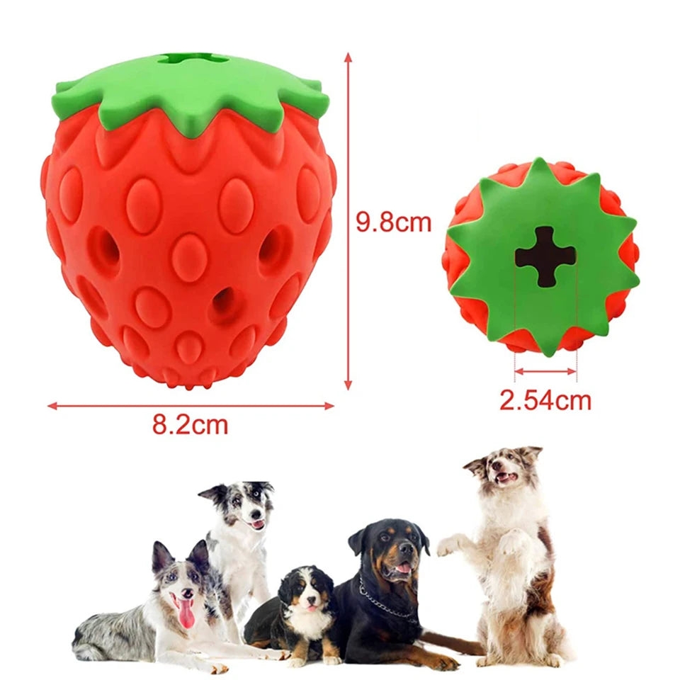 Feeder: Rubber puzzle ball for leaked food.