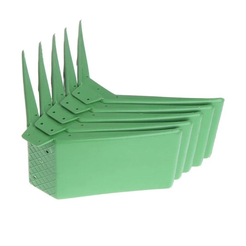 Bird Equipment: Supplies for bird care and maintenance.